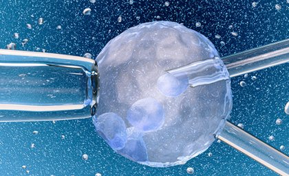 A graphic depicting glass instruments being used on a reproductive egg. A graphic depicting glass instruments being used on a reproductive egg.